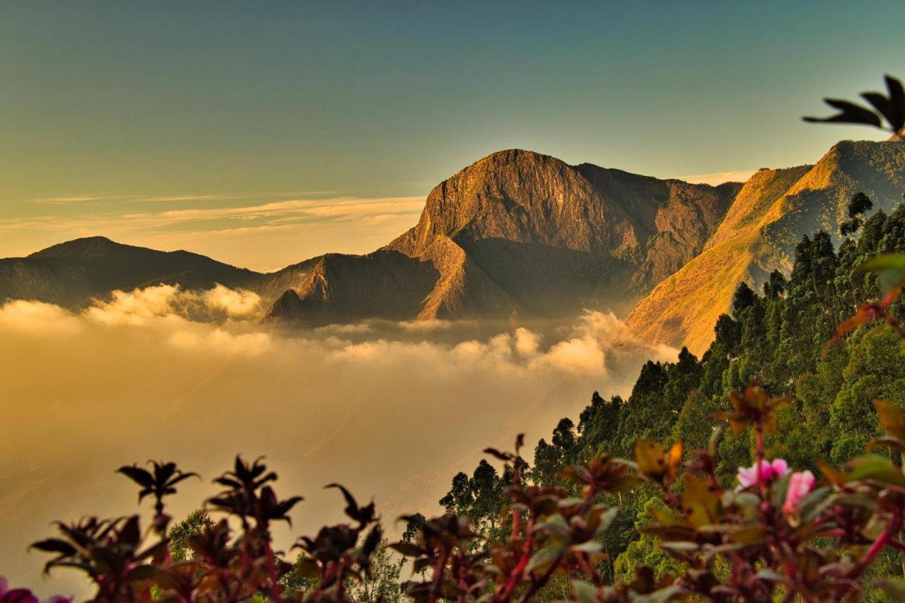 Chandys Drizzle Drops - Munnar Top Station Bagian luar foto